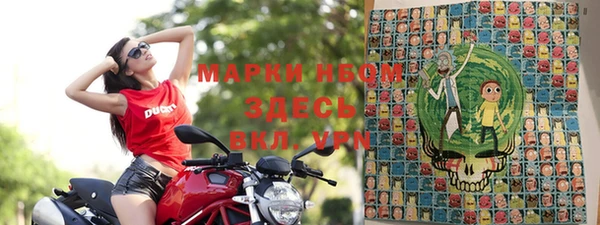 твердый Заводоуковск