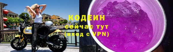 твердый Заводоуковск