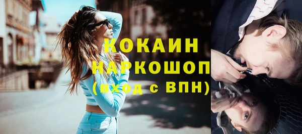 твердый Заводоуковск