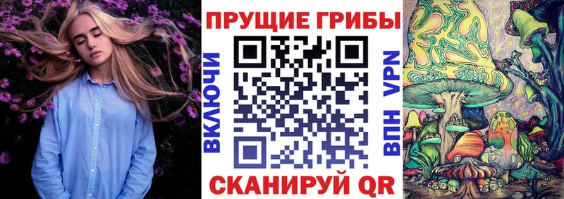 Псилоцибиновые грибы Psilocybe  Купить закладки  Западная Двина 
